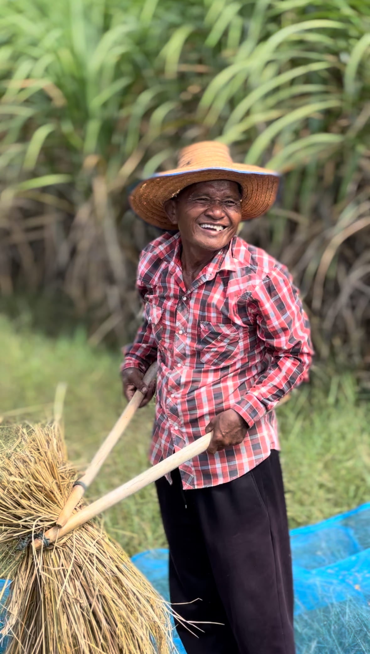 Jasmin Duftreis 300g