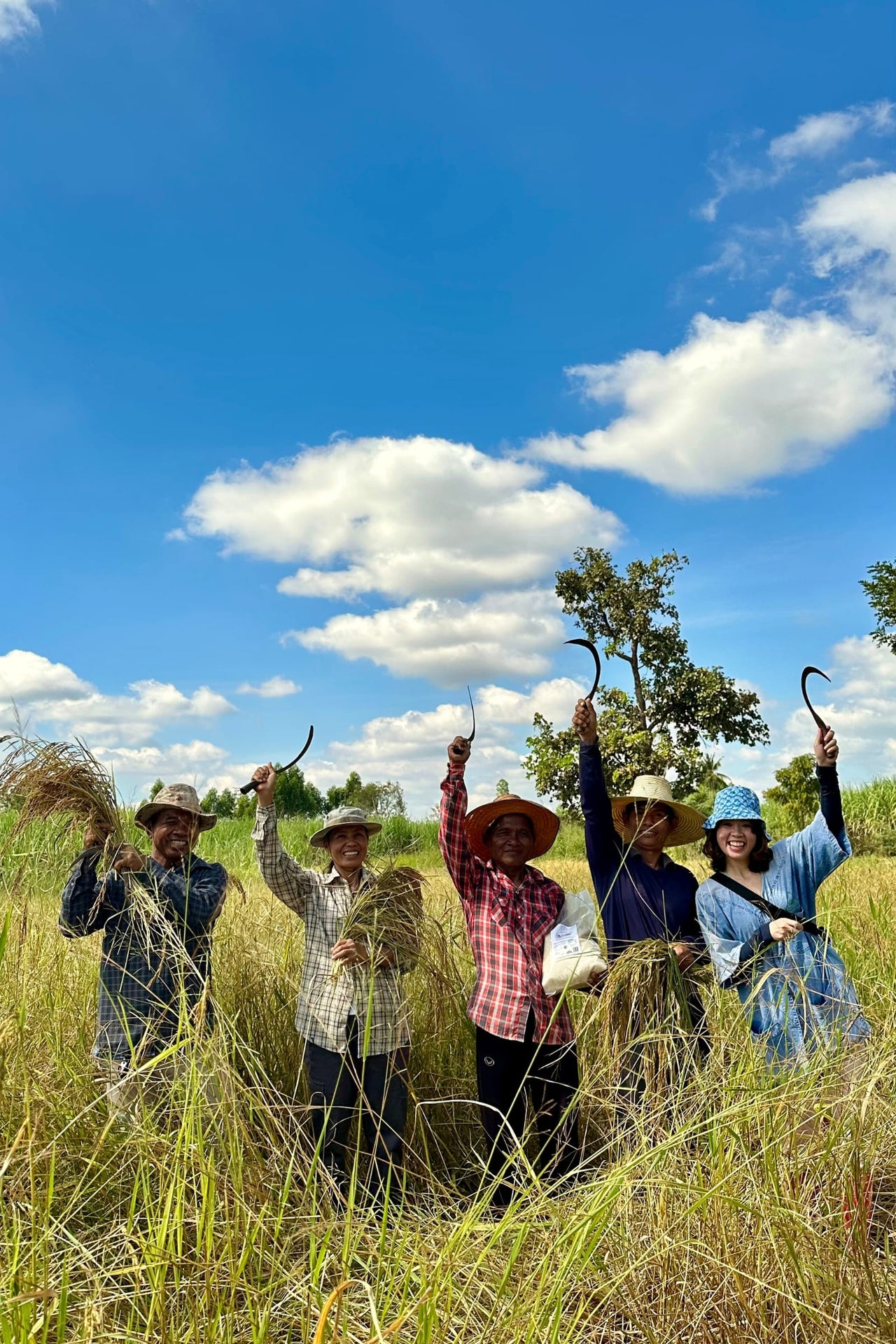 Jasmin Duftreis 300g