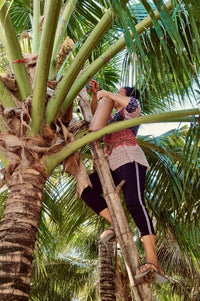 Thumbnail for Palmzucker aus Kokosblüten